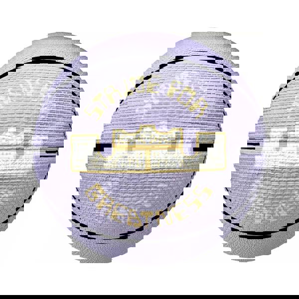 Nike Lebron James Playground 2.0 Basketball - Purple - 