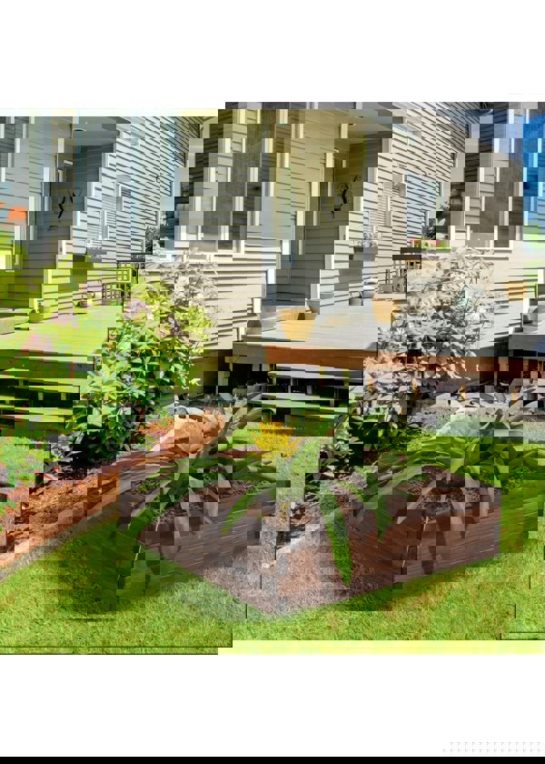 Garden Bed