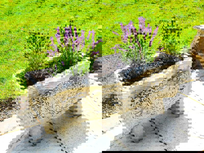 Large Bow Front Curved Decorative Trough