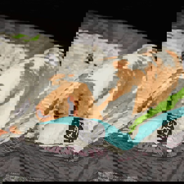 The Original Insulated Blanko® - Geo Haven OLPRO - captured by Iameddiethebeagle on Instagram