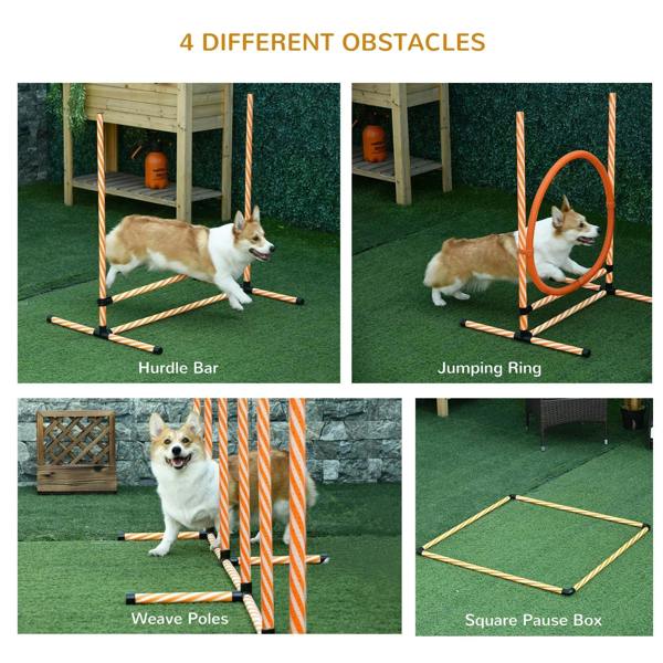 Dog agility obstacles set: hurdle bar, jumping ring, weave poles, and square pause box