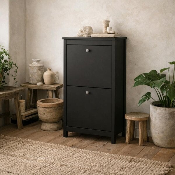 Wyld Haus Gossmere Matt Black Shoe Cabinet 2 Doors