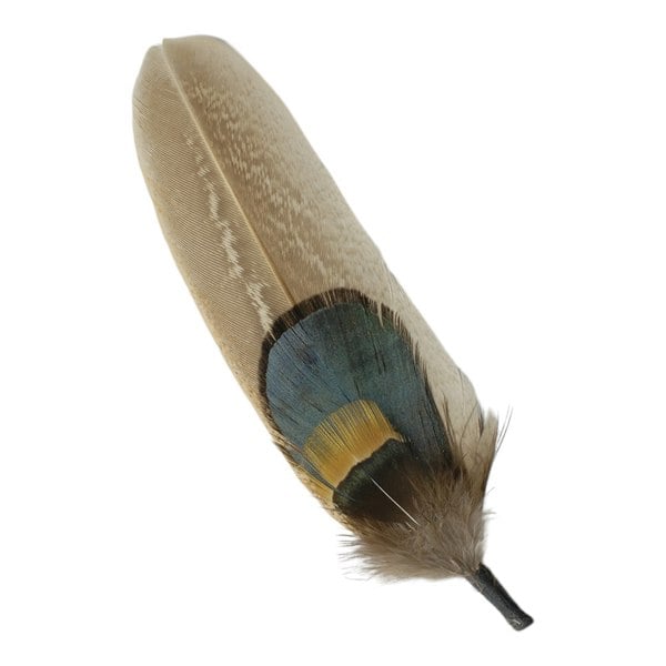 Gamble & Gunn Feather Mounts - Collection of 8 (Pack B)