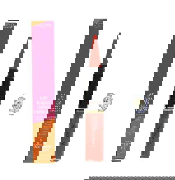 Lancôme Proenza Schouler Edition Duo Chroma 108 Arty Orange Lip Kajal Duo 2.7g