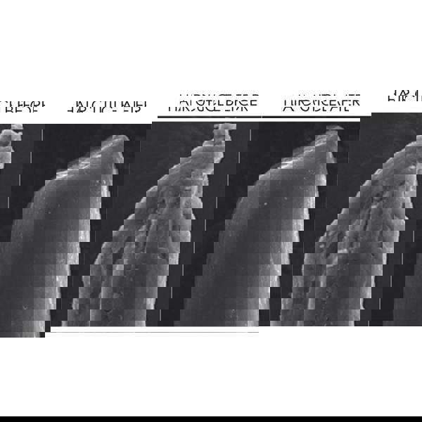 Olaplex No. 9 Bond Protector Serum Duo