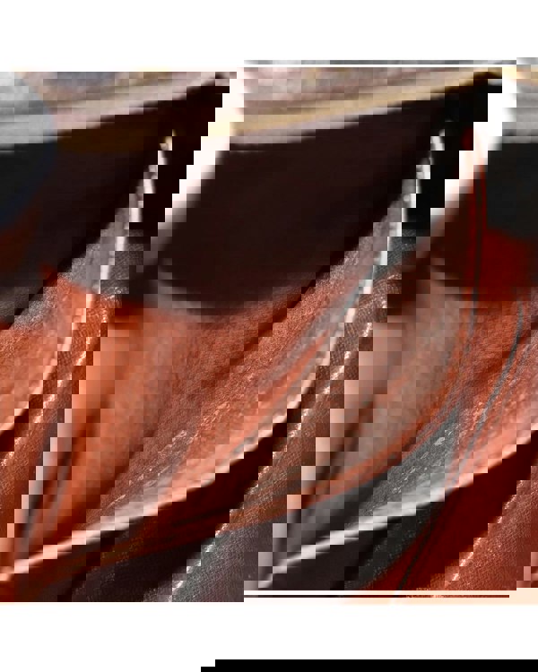193964783.jpg