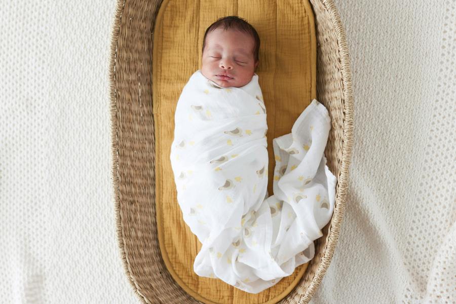Lulujo - Cotton Swaddle - Barnyard & Hen Chicks - 2 Pack