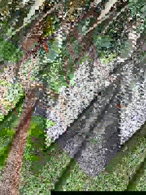 FlexiBorder Outside Corner Box of 2 Brown