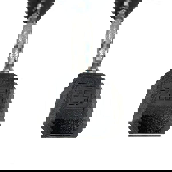 Hexagonal HXGN dumbbell with '2.5' marking