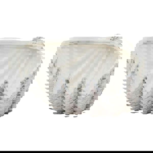 Hill Interiors Siren Ceramic Shell Bowl - White/Grey - 