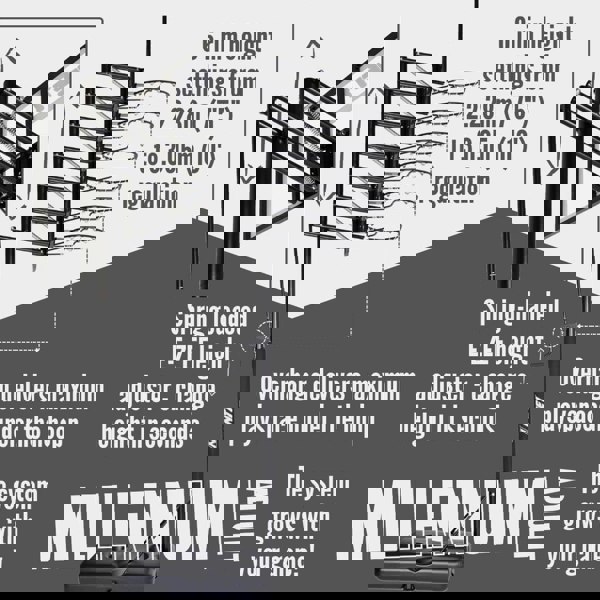 NET1 Millennium Basketball Hoop