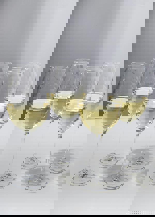 Mikasa Julie Set of 4 16.5Oz White Wine Glasses