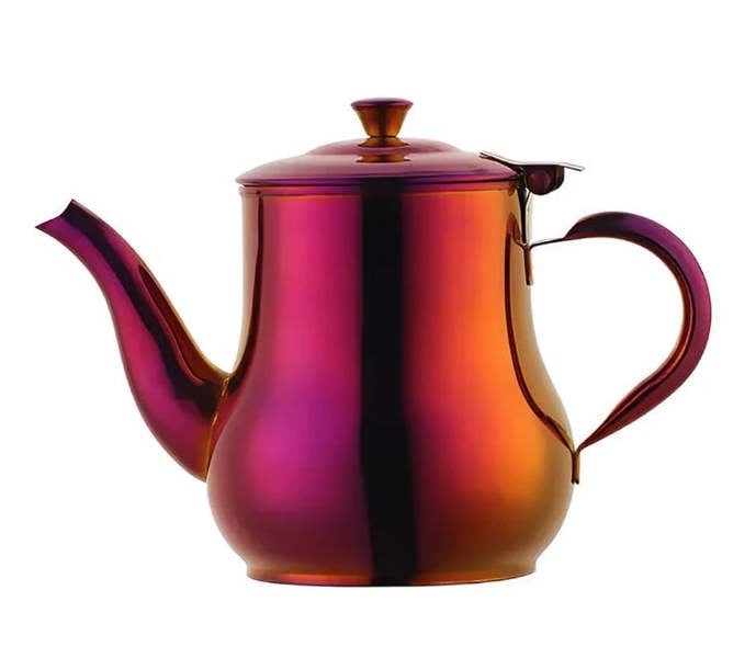 Anygleam Teapot Red Rainbow Stainless Steel with Filter for Coffee, Tea, Oil and Liquid Seasonings Container Kettle
