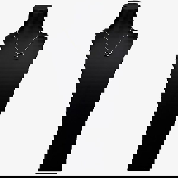 Rosa Lea Pave Infinity Necklace AE-950632NA-1