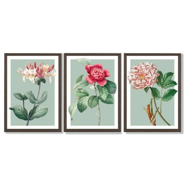 Artze Wall Art Vintage Flowers Honeysuckle, Peony Set of 3 Framed Prints