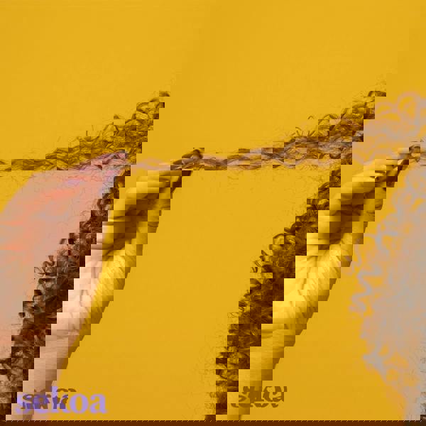 Sekoa Jamaican Black Castor Oil Conditioner 250 ml