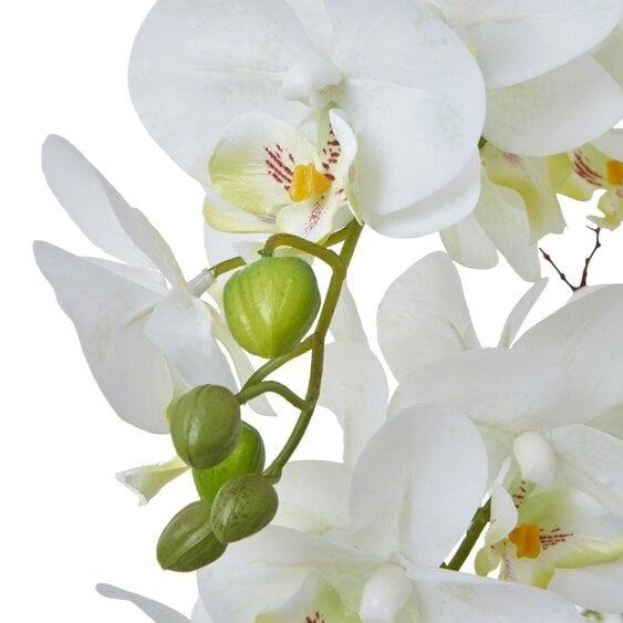 Wyld Haus Artificial Plant Large White Orchid In Ceramic Pot