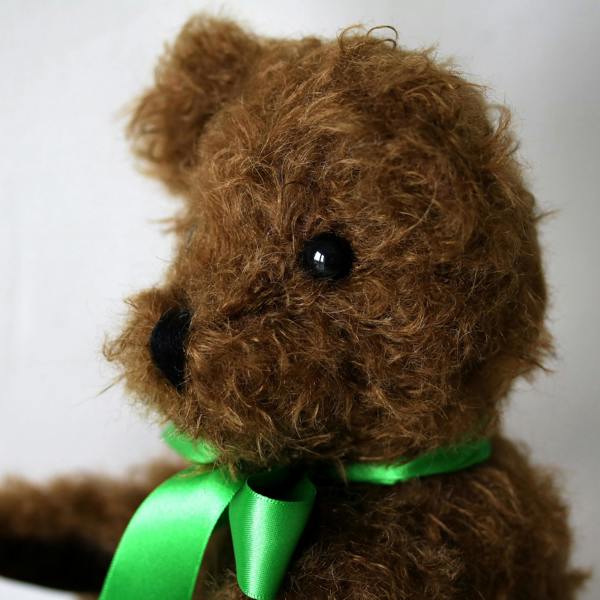 Canterbury Bears Hamish