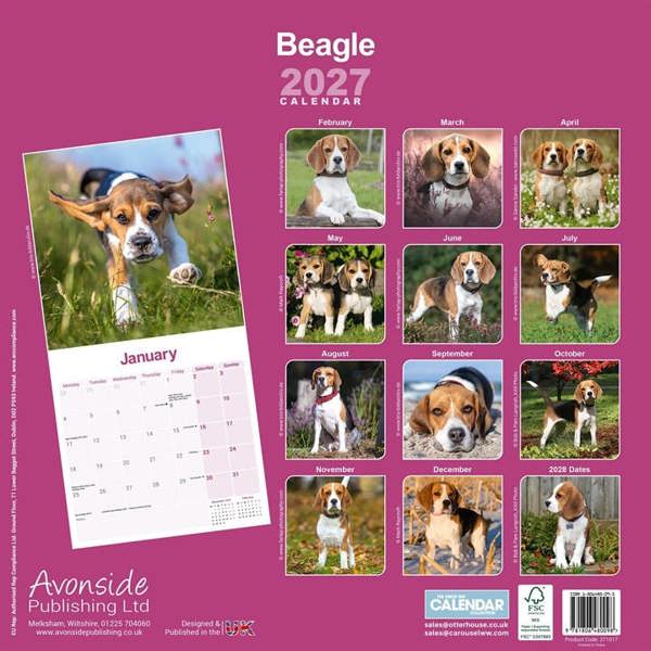 Beagle Calendar 2027, Wall Calendars, Month To View, Dogs, Gift