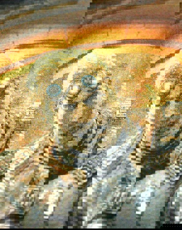 Gears of War Mens Black Lt Damon Baird Graphic Short Sleeved T-Shirt