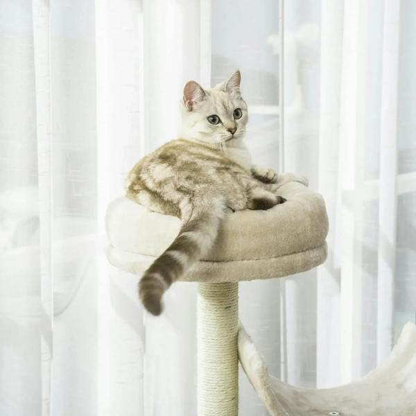 Beige cat tree with round cushioned top perch on a wrapped scratching post; kitten resting.