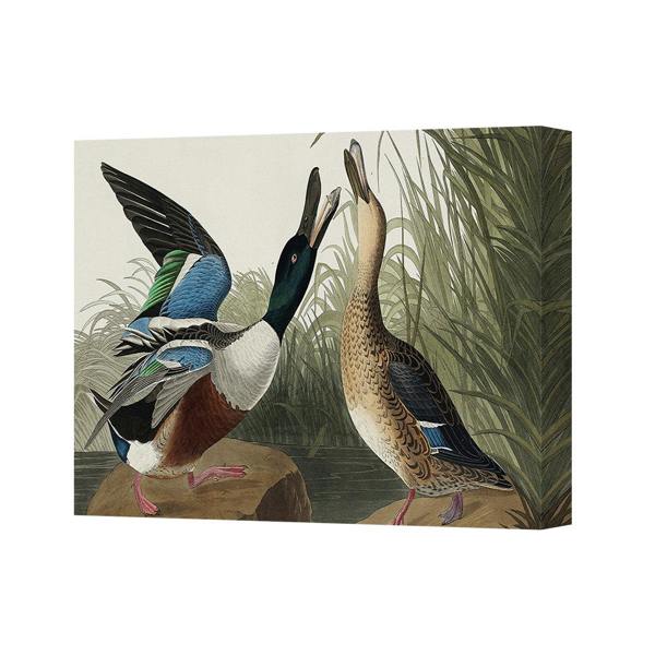 Benjamin Tate Design Canvas Wall Art Two Mallard Ducks Print Nature Scene