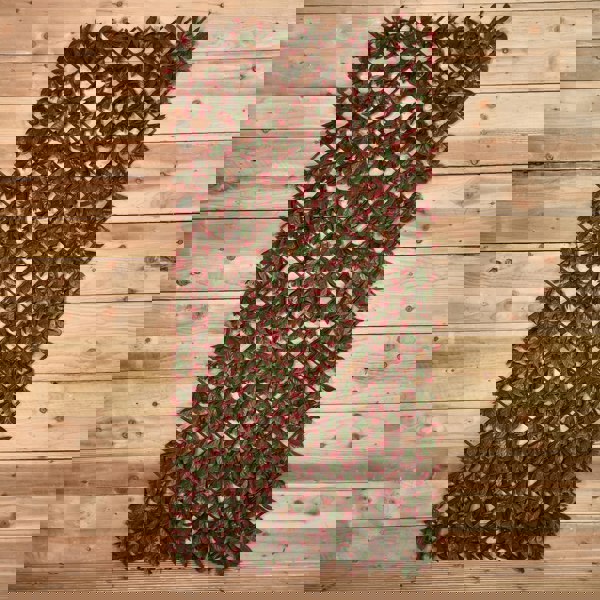 Samuel Alexander 100cm x 200cm Artificial Fence Garden Trellis Privacy Screening Indoor Outdoor Wall Panel - Red Beech Leaf
