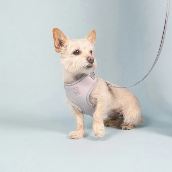 Barc London Frosted Blue Easy Fit Harness