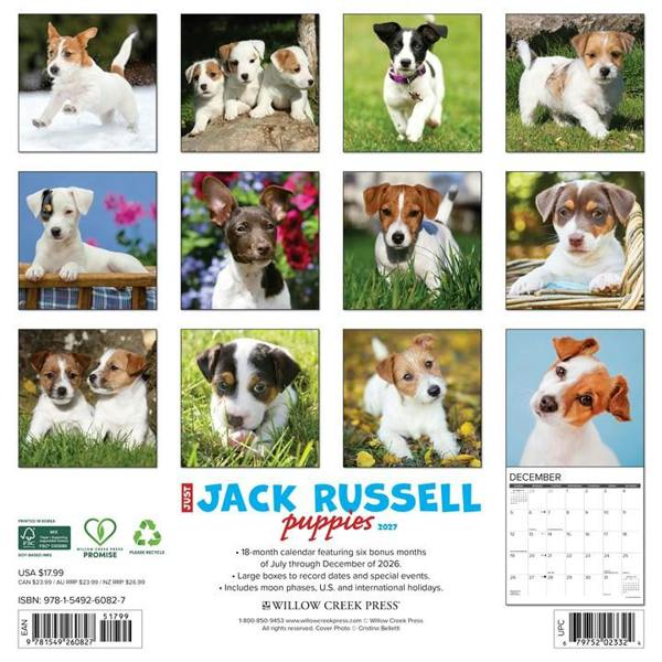 Just Jack Russell Puppies Calendar 2027, Wall Calendars, Month To View, Dogs, Gift
