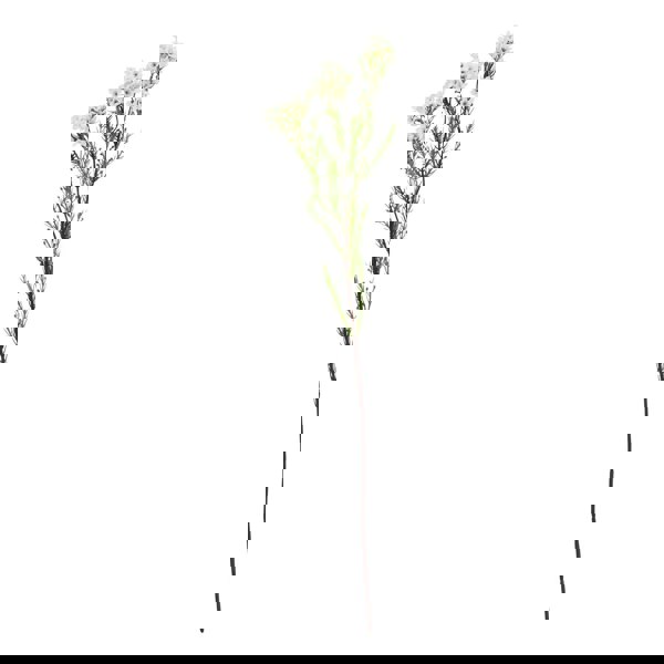 Hill Interiors The Natural Garden Collection Waxflower Artificial Flower - White/Green