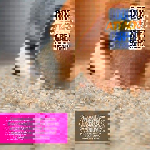 ProKleen Pro-Kleen Odour Attack Carpet Solution Cleaner Enzyme Shampoo 1L Ocean Fresh