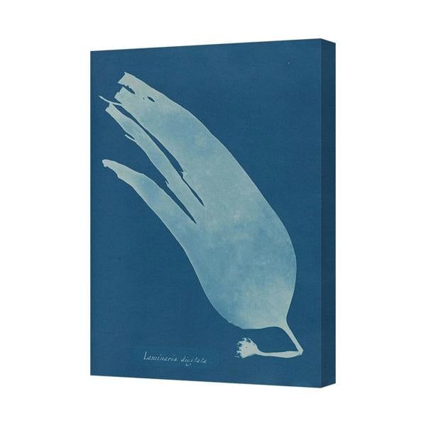 Benjamin Tate Design Blue Feather Canvas Wall Art Print 9213 Abstract Minimalist Home Decor