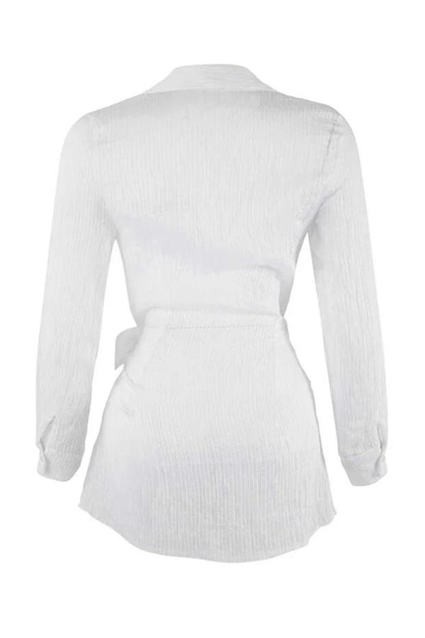 WOVCOR Woven Mini Regular Tulle Beach Dress