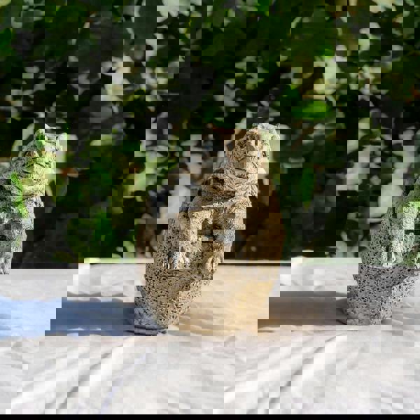 Small Stone Cast Anchisaurus Garden Sculpture Dinosaur Animal Statue