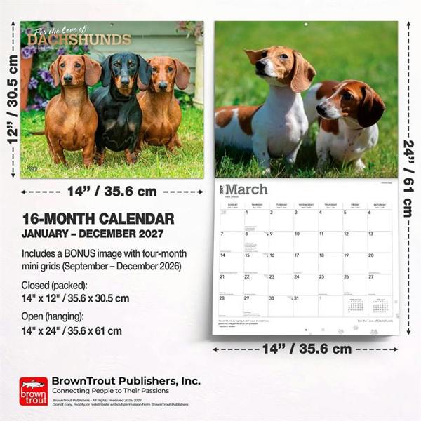 For The Love Of Dachshunds Deluxe Calendar 2027, Deluxe Calendars, Month To View, Dogs, Gift