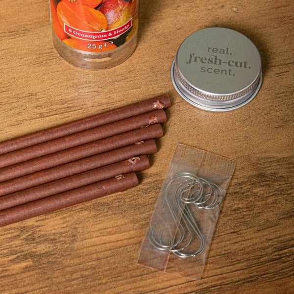 Samuel Alexander 25g Pumpkin and Cider Scented Christmas Scentsicles with 6 Hanging Hooks