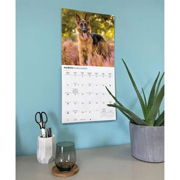 German Shepherds Calendar 2027, Wall Calendars, Month To View, Dogs, Gift