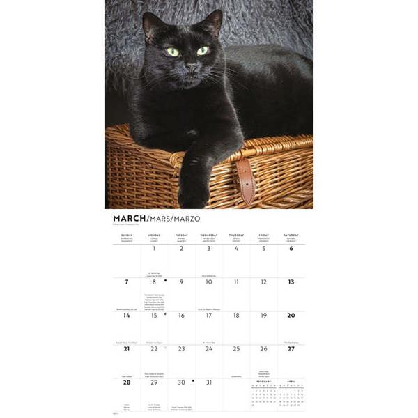 Black Cats Calendar 2027, Wall Calendars, Month To View, Cats, Gift
