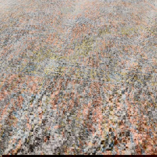 Asiatic Jasper JA05 Traditional Terracotta Rug