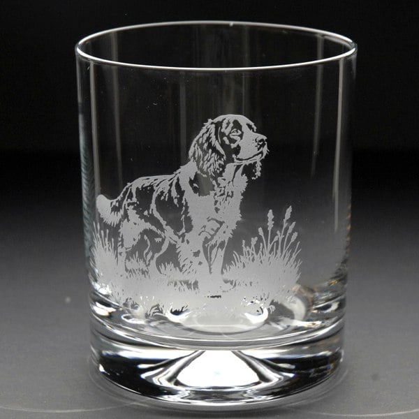 Glyptic Glass Art Springer Spaniel Dog Whiskey Tumbler Glass - Hand Etched/Engraved Gift