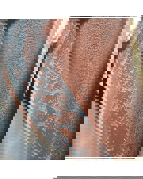 163857961.jpg