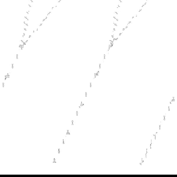 BLOOMTINE Illuminess™ Sterling Silver Goddess Sparkle Lariat