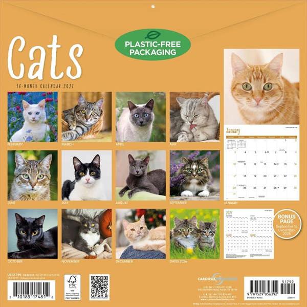 Cats Calendar 2027, Wall Calendars, Month To View, Cats, Gift