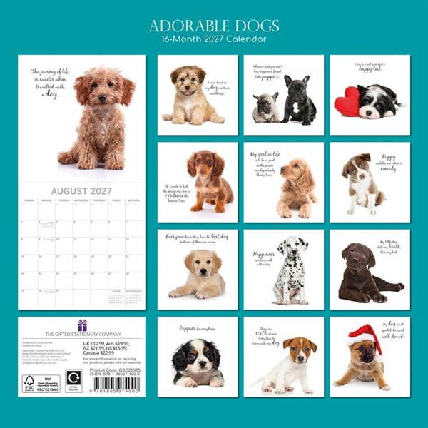 Adorable Dogs Calendar 2027, Wall Calendars, Month To View, Dogs, Gift
