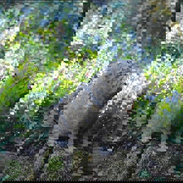 Full Size Pug Cold cast Bronze dog Statue