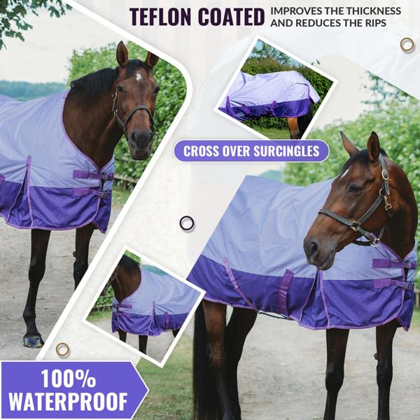 eQuitack 600D Outdoor Winter Lightweight Waterproof Horse Turnout Rug 0g No Fill Regular Neck Nylon Lined Double Buckle Lavender/Purple