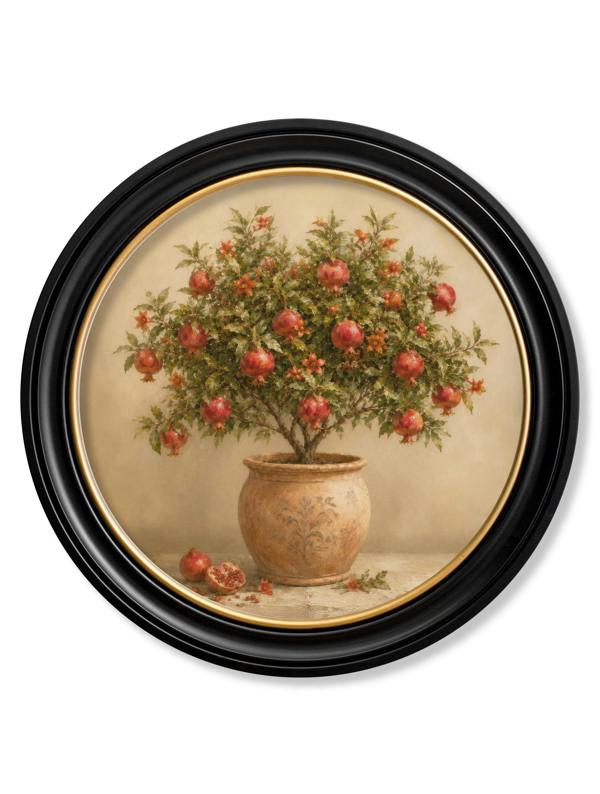 Exceptional Art The Pomegranate Tree - Oxford Round Frame