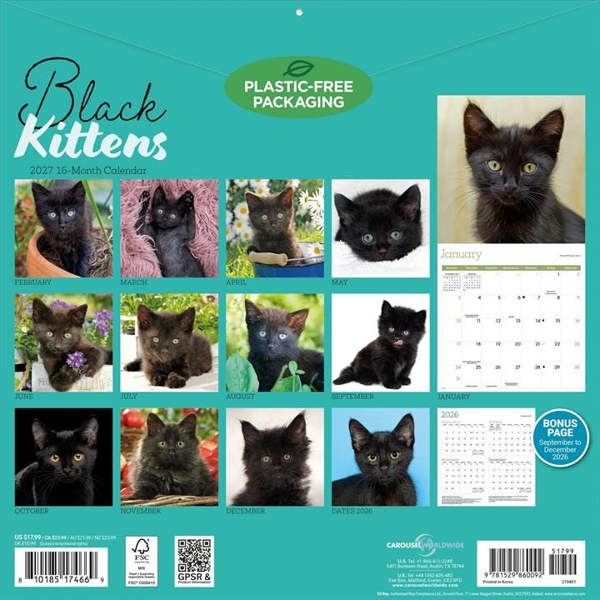 Black Kittens Calendar 2027, Wall Calendars, Month To View, Cats, Gift