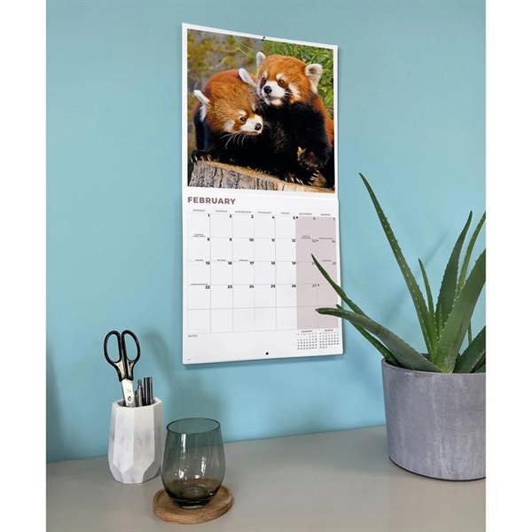 Red Panda Calendar 2027, Wall Calendars, Month To View, Animals, Gift