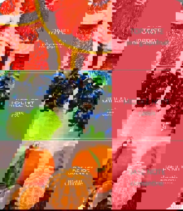 Heart & Home Pink Grapefruit & Cassis - Essential Oil Blend